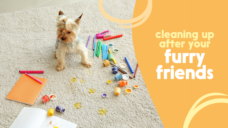 Three Tips for Cleaning a Pet-Loving Home